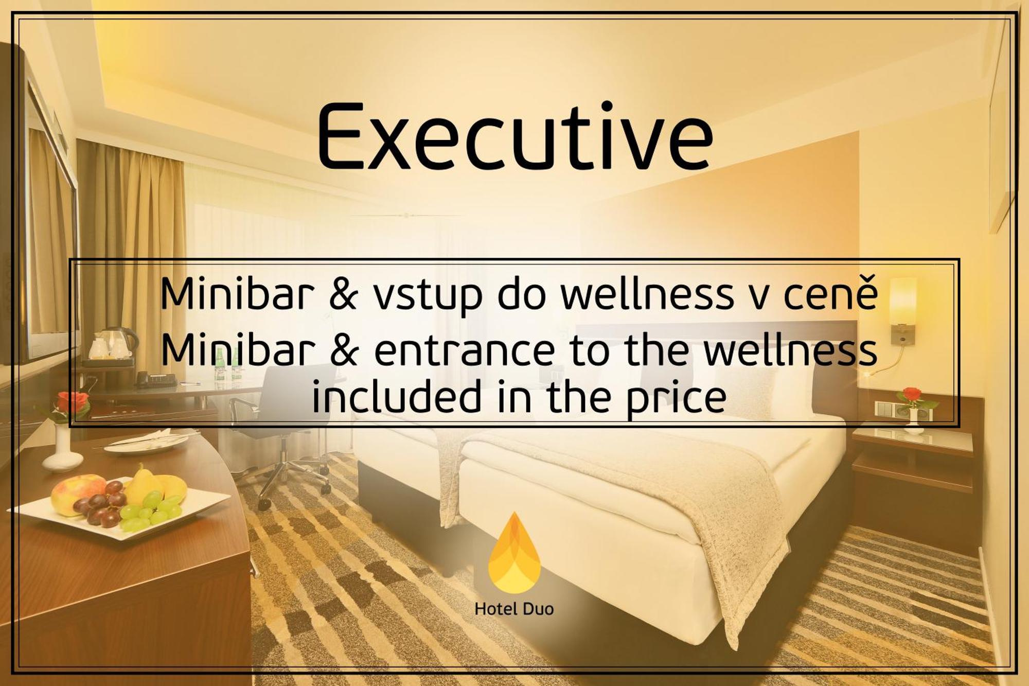 Executive Tweepersoonskamer met 1 of 2 Bedden en Toegang tot Wellnesscentrum